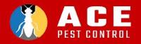 Ace Bed Bug Control Brisbane image 9